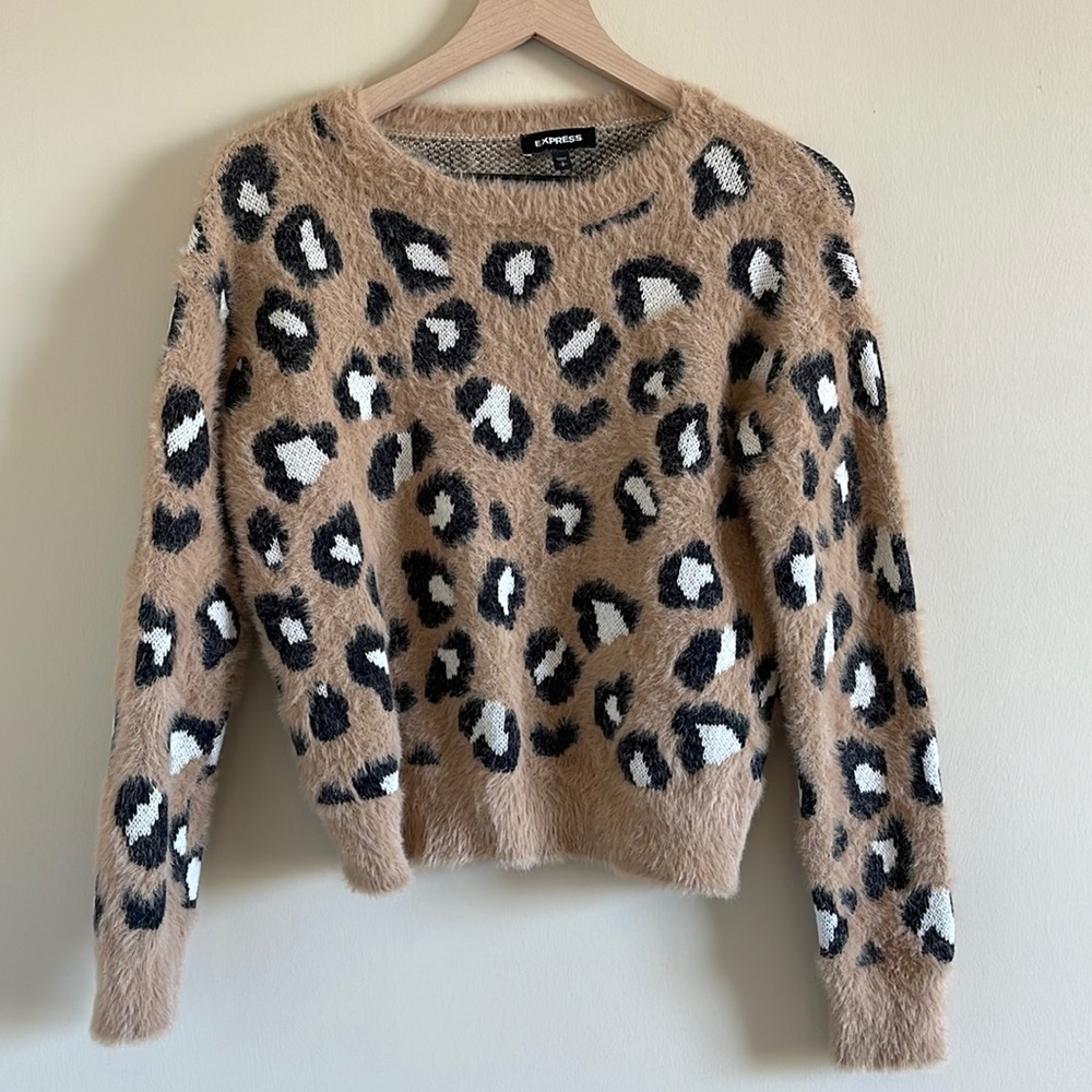 Super soft cheetah sweater express